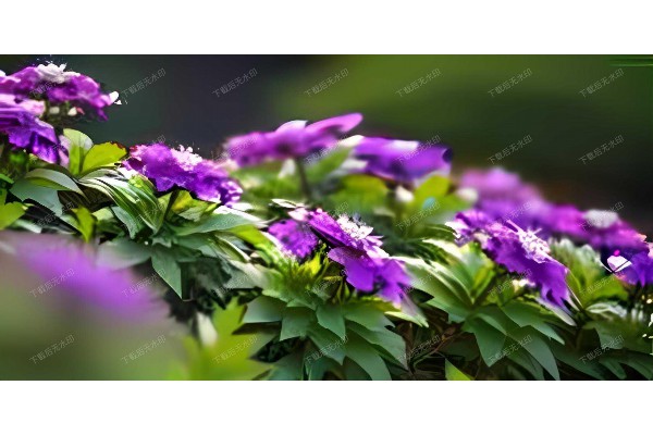 武汉汇申桑拿车门，养生新选择！